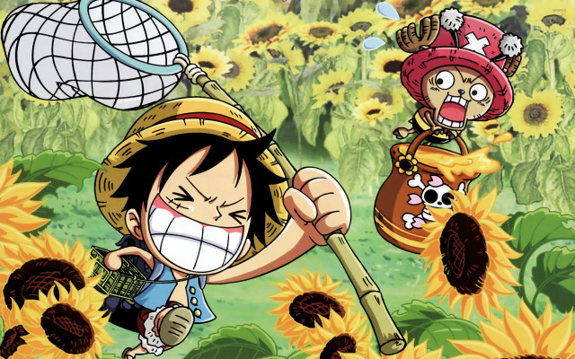Trọn bộ hình ảnh One Piece Full HD đẹp nhất 15