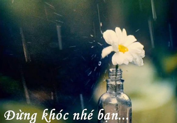 Hình ảnh buồn về tình yêu tan vỡ chứa nhiều cảm xúc 15