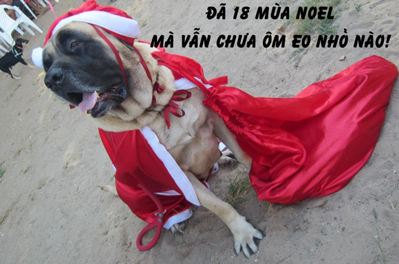 Top hình ảnh chế Noel FA hài hước, bá đạo nhất Vịnh Bắc Bộ 9