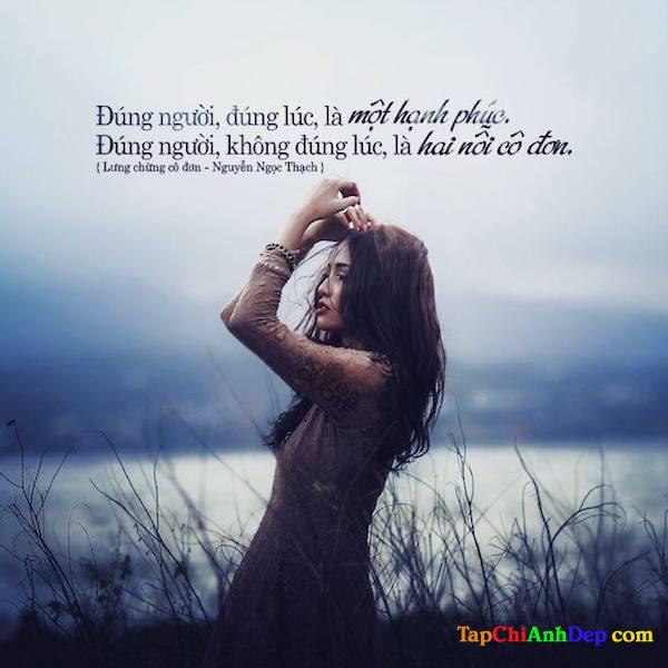 Hình ảnh buồn cô đơn lẻ loi đầy tâm trạng