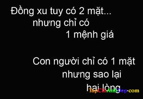 Stt chửi xéo có văn hoá