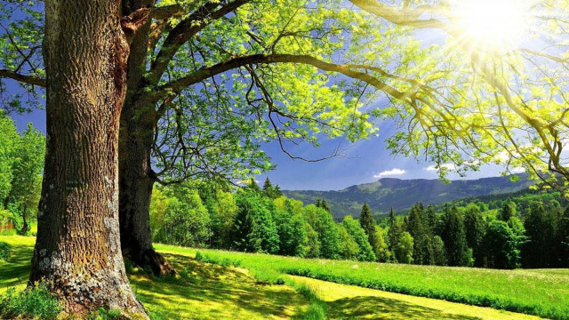 Hình ảnh đẹp về thiên nhiên bốn mùa 16