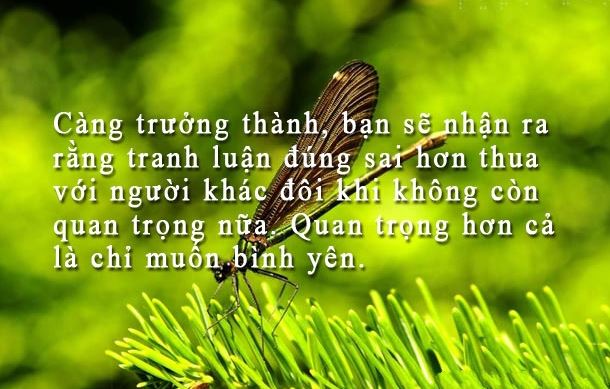 Những câu danh ngôn cuộc sống vô cùng hữu ích với bạn 2