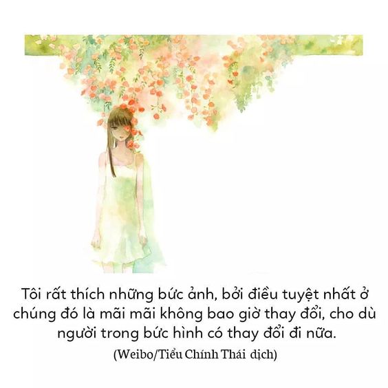 hinh anh dep ve cuoc song buon