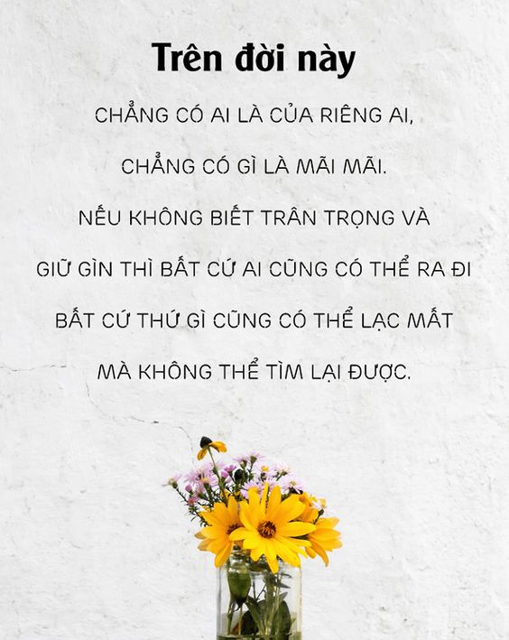 Anh doc nhat vo nhi ve tinh yeu