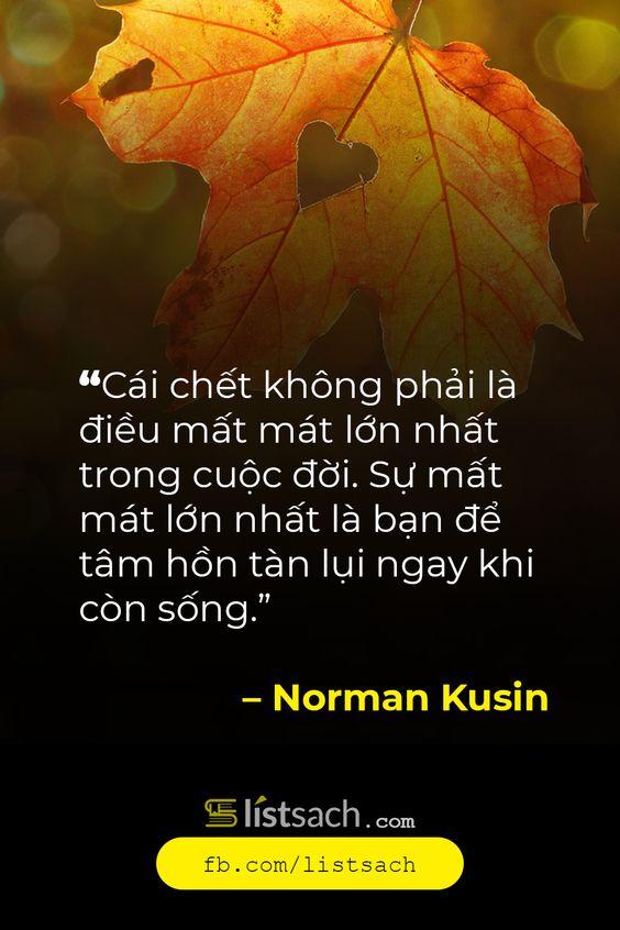 những câu châm ngôn hay về cuộc sống 