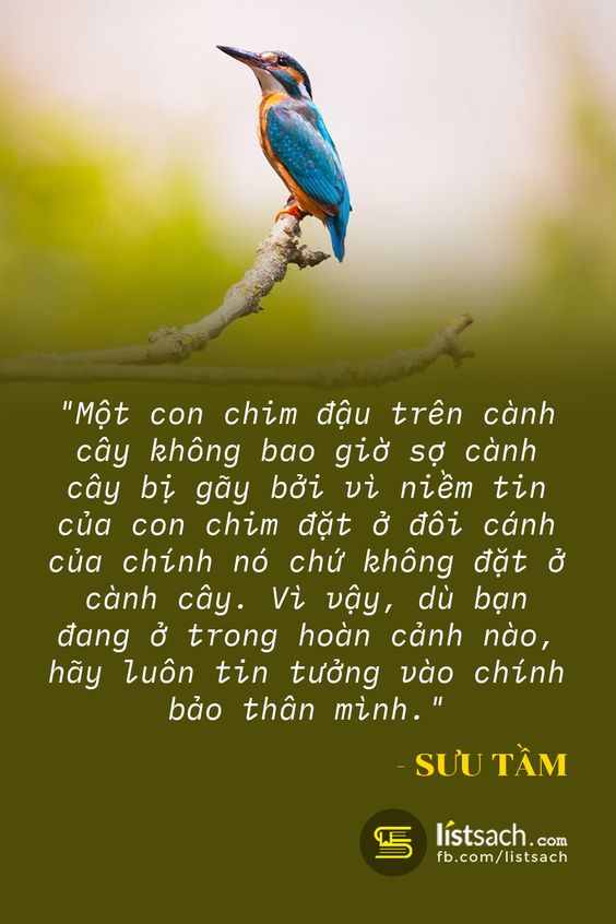 hình ảnh những câu nói hay về cuộc sống