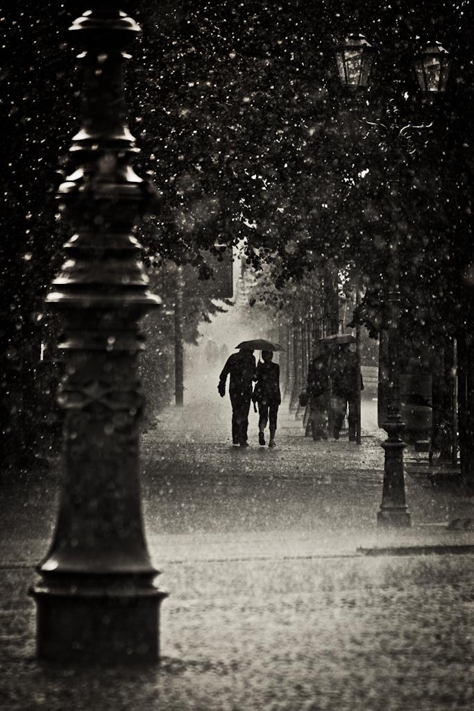 Hình ảnh đẹp cơn mưa tình yêu