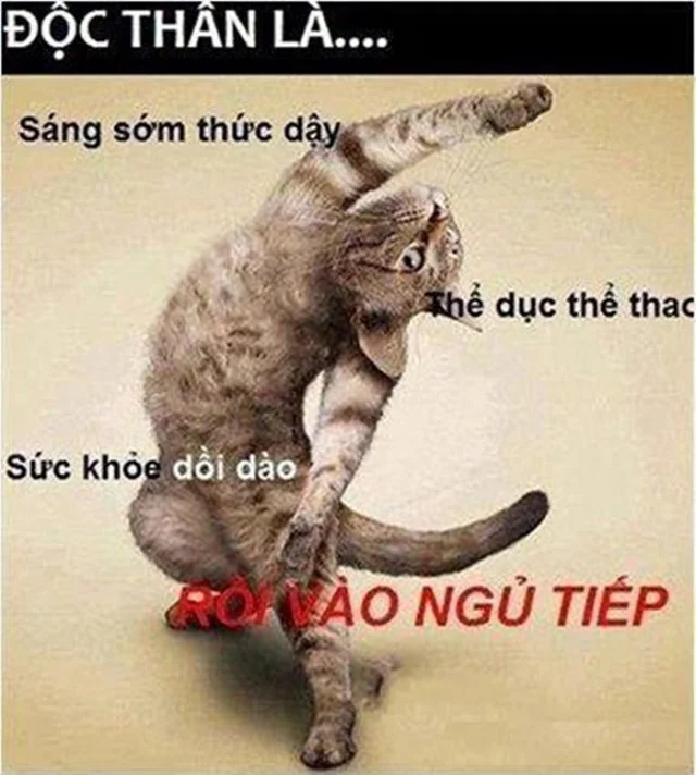 Những hình ảnh hài hước vui nhộn nhất Việt Nam